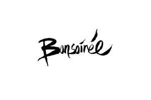 logo_bonsoiree
